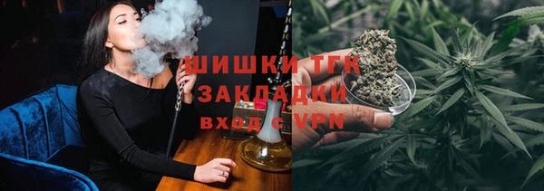 гидра Богородицк