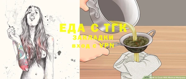 гидра Богородицк