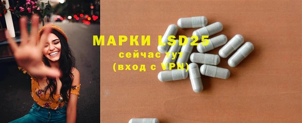 гидра Богородицк