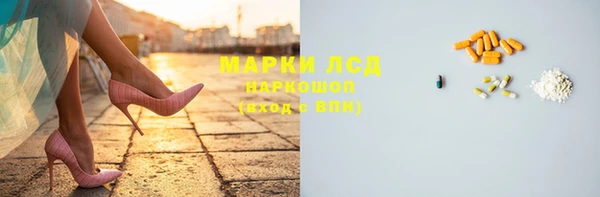гидра Богородицк