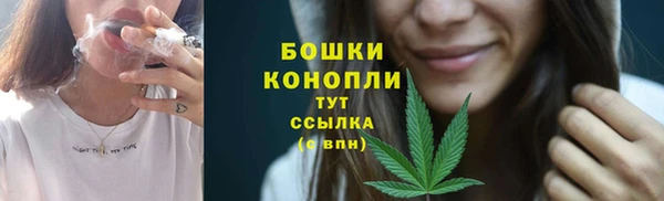 гидра Богородицк