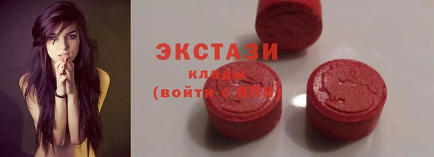 гидра Богородицк