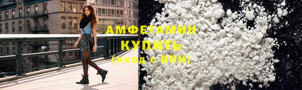 гидра Богородицк