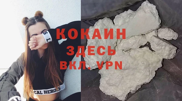 гидра Богородицк