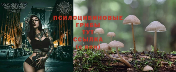 ешки Богданович